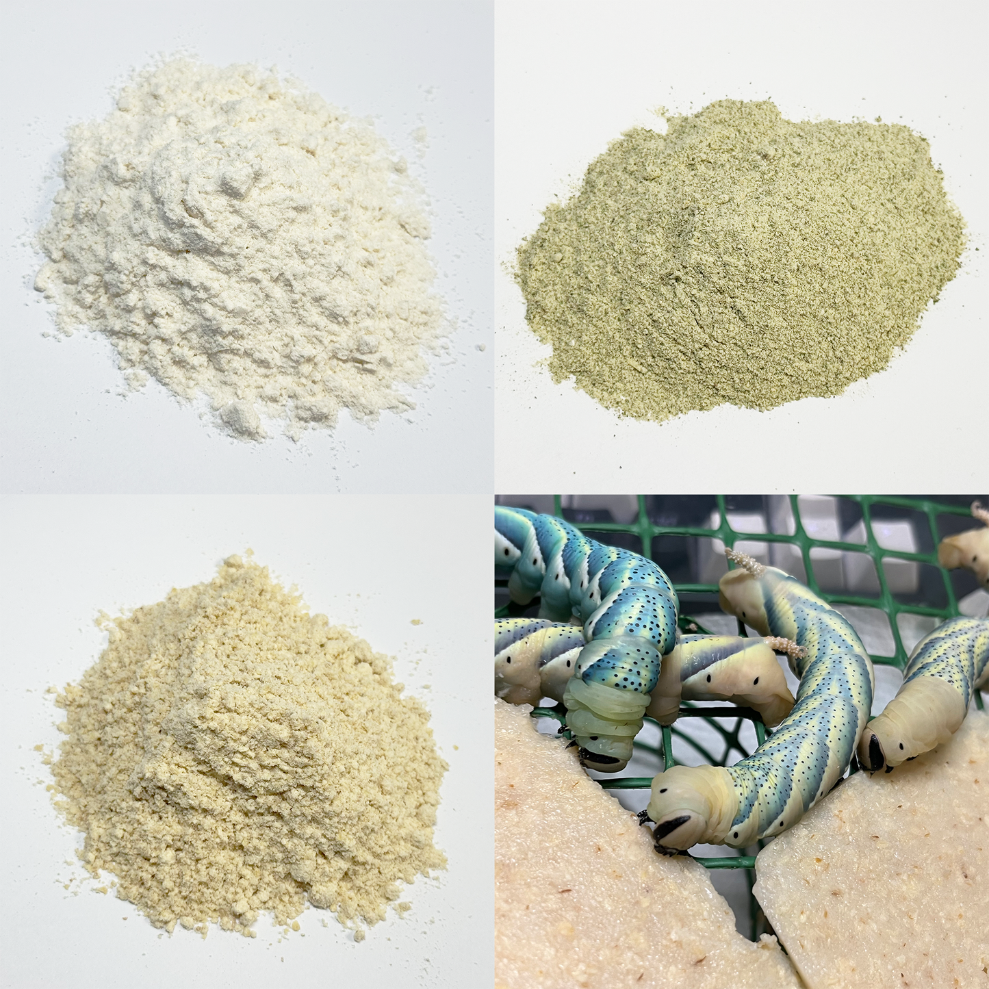 Bundle of three diets