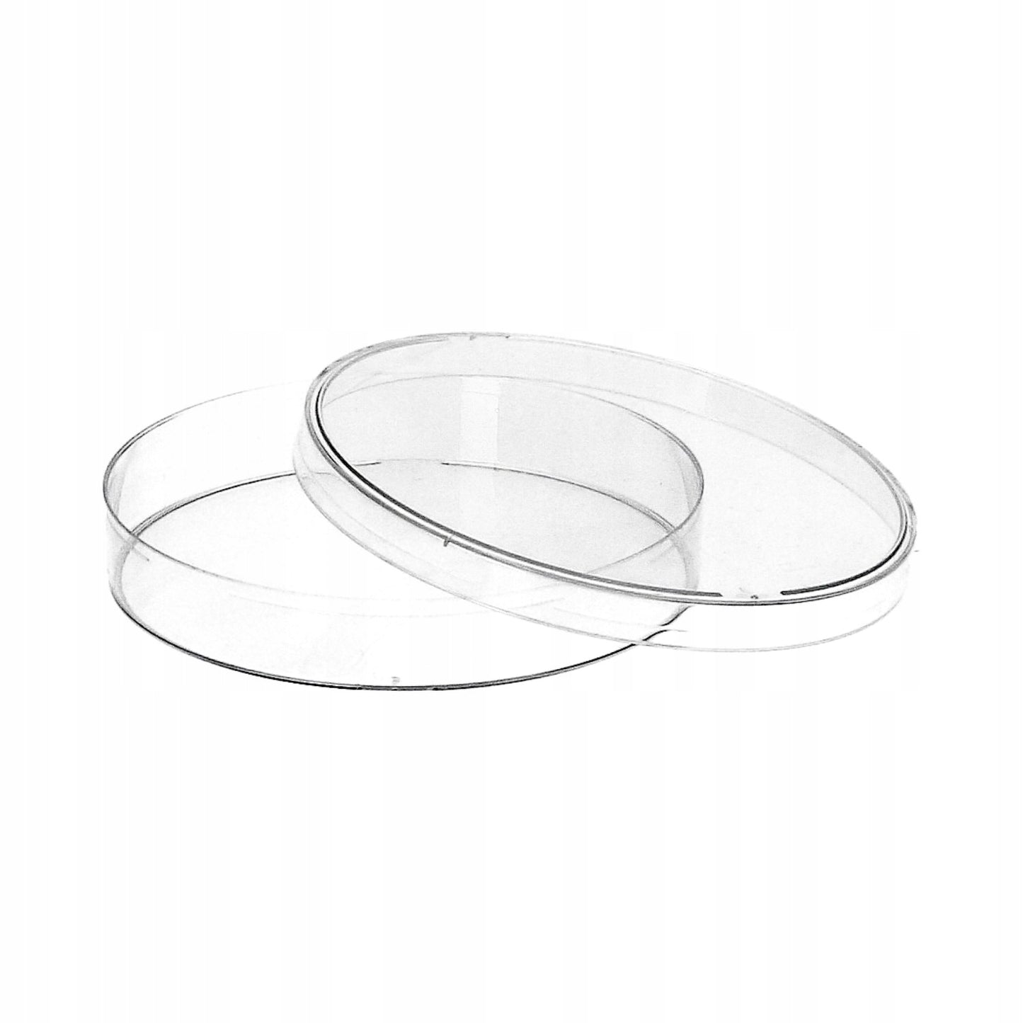 Petri dish