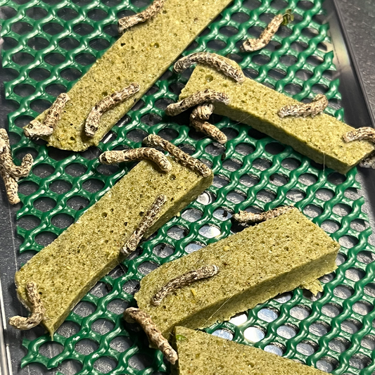 How to Rear Silkworms on Artificial Diet Using DML-3: Complete Silkworm Rearing Guide