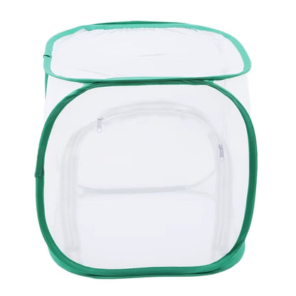 Pop up insect cage