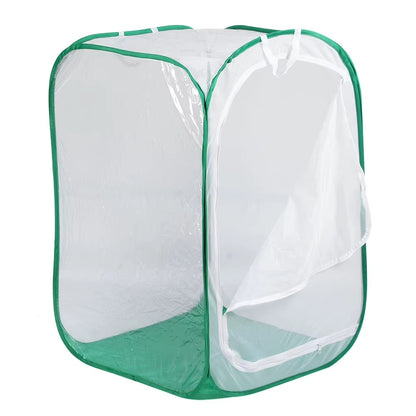 Pop up insect cage