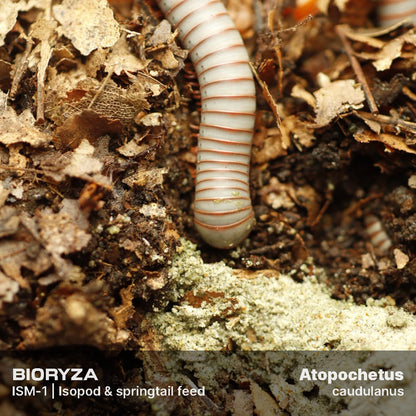 ISM-1 | Isopod & springtail food - Isopoda and Collembola