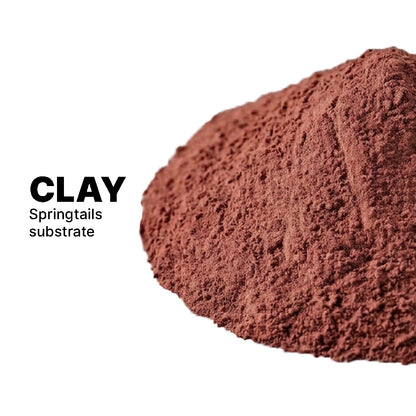Mineralized Clay For Springtails culture