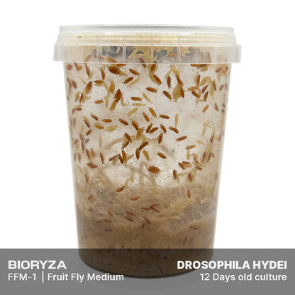 FFM-1 | Fruit fly medium - Drosophila melanogaster and Drosophila hydei