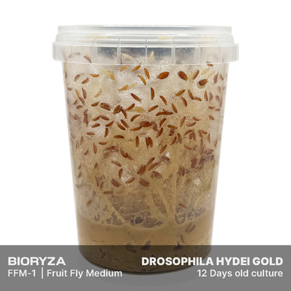 FFM-1 | Fruit fly medium - Drosophila melanogaster and Drosophila hydei