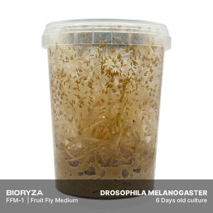 FFM-1 | Fruit fly medium - Drosophila melanogaster and Drosophila hydei
