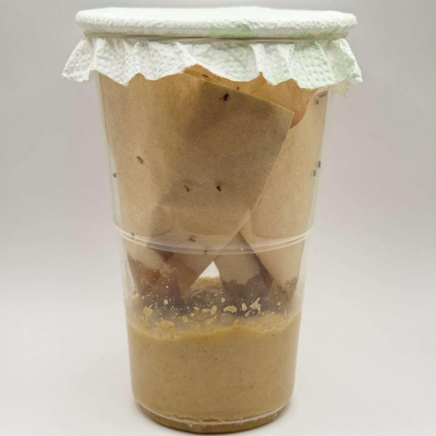 FFM-1 | Fruit fly medium - Drosophila melanogaster and Drosophila hydei