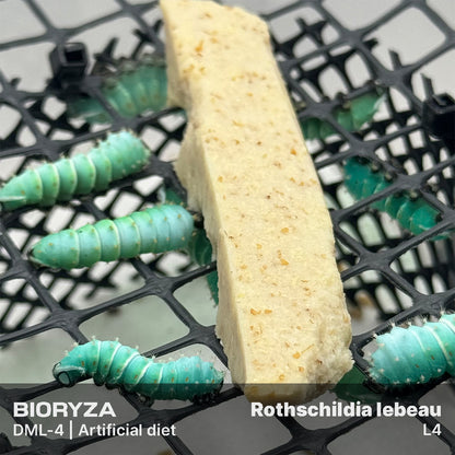 DML-4 | Artificial diet for Saturniidae and Painted Lady